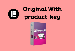 Elementor With product key
